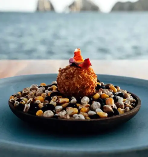 animalon by the sea food 8