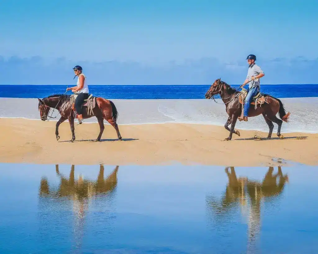 Los Cabos Beach Desert Horseback Riding Experience for Beginners 54 5